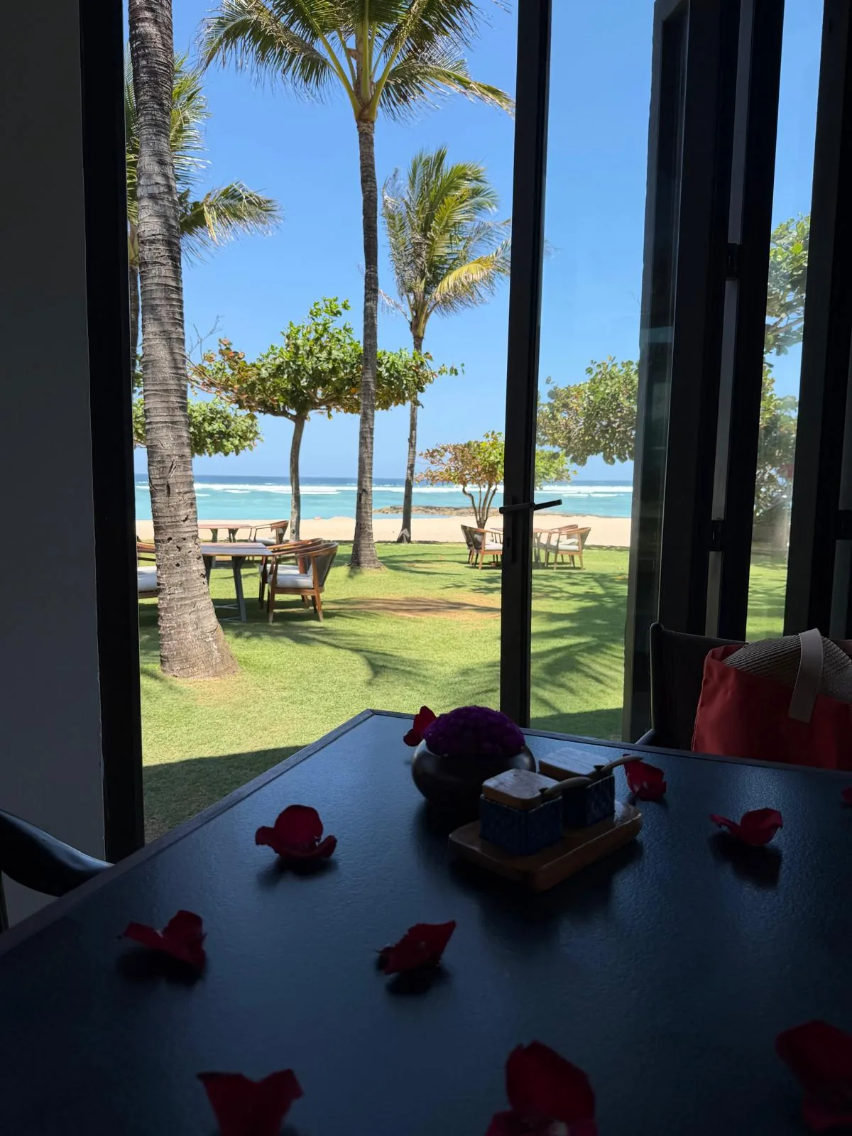 Rose petals on the table beside a view of palms and the ocean